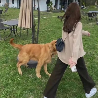 磨坊女人